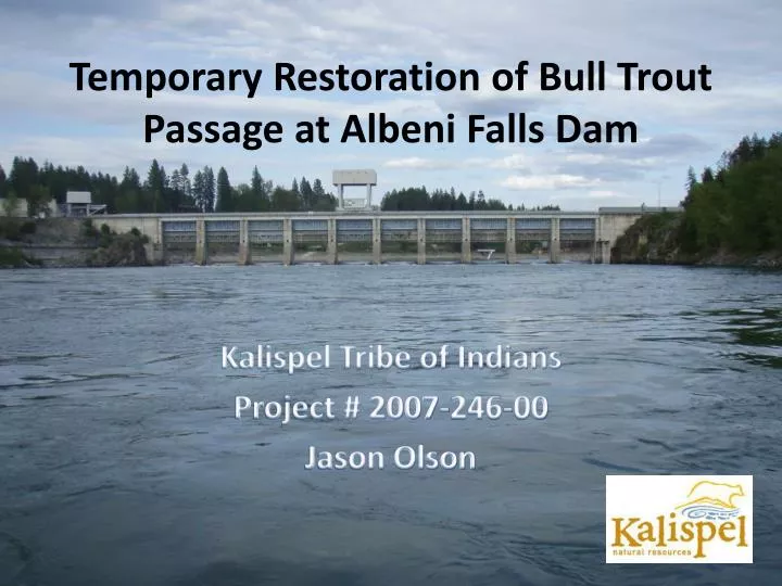 temporary restoration of bull trout passage at albeni falls dam