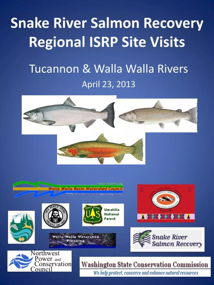 snake river salmon recovery regional isrp site visits