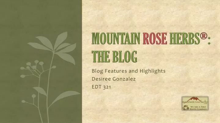 blog features and highlights desiree gonzalez edt 321