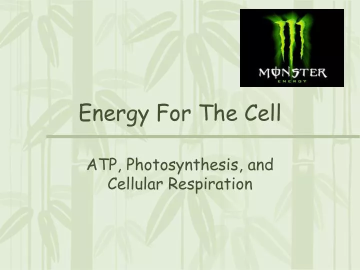 energy for the cell