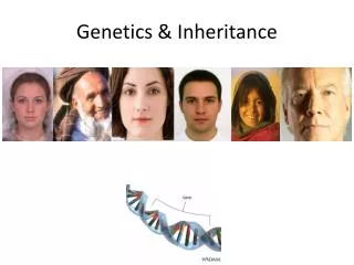 Genetics &amp; Inheritance
