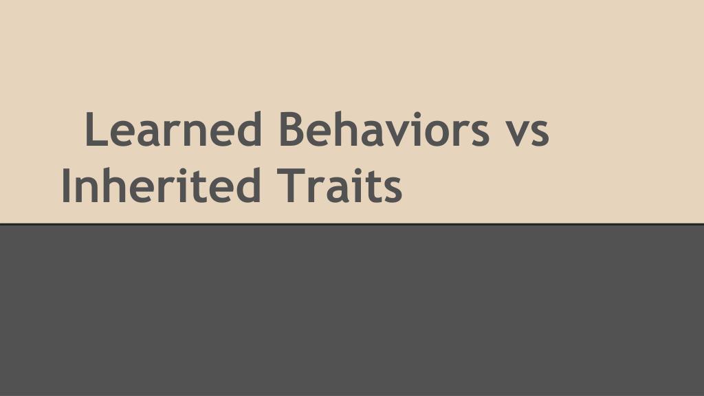 PPT - Learned Behaviors vs Inherited Traits PowerPoint Presentation ...
