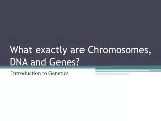 What exactly are Chromosomes, DNA and Genes?