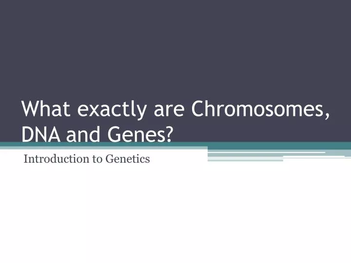 what exactly are chromosomes dna and genes