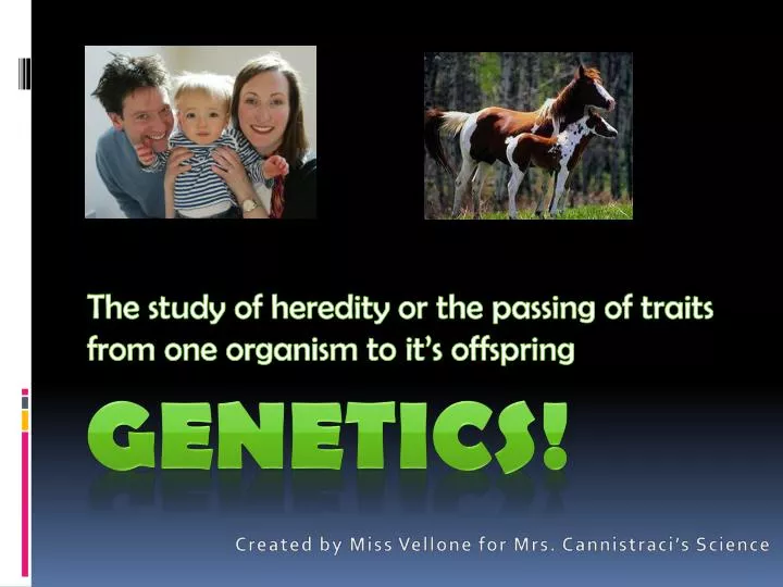 the study of heredity or the passing of traits from one organism to it s offspring