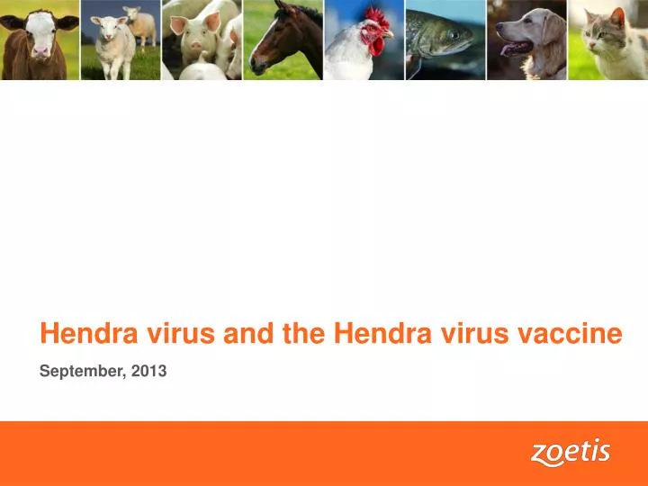 hendra virus and the hendra virus vaccine