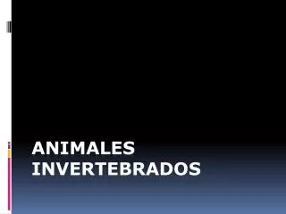 animales invertebrados
