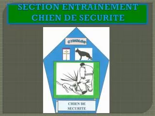 section entrainement chien de securite