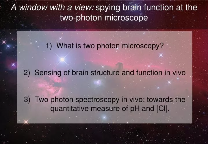 a window with a view spying brain function at the two photon microscope