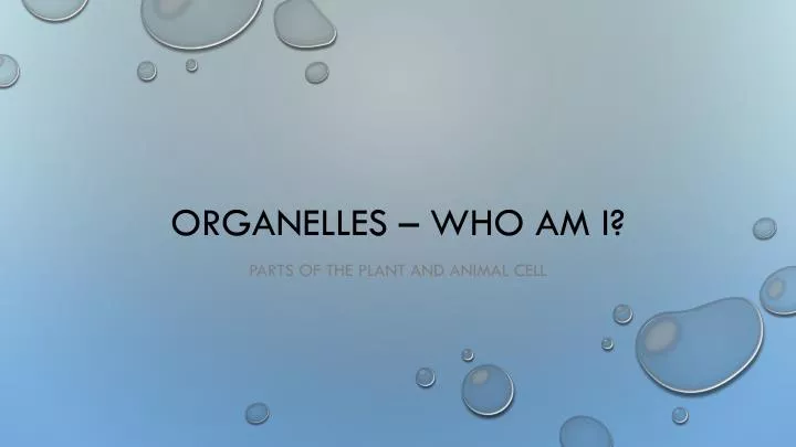 organelles who am i