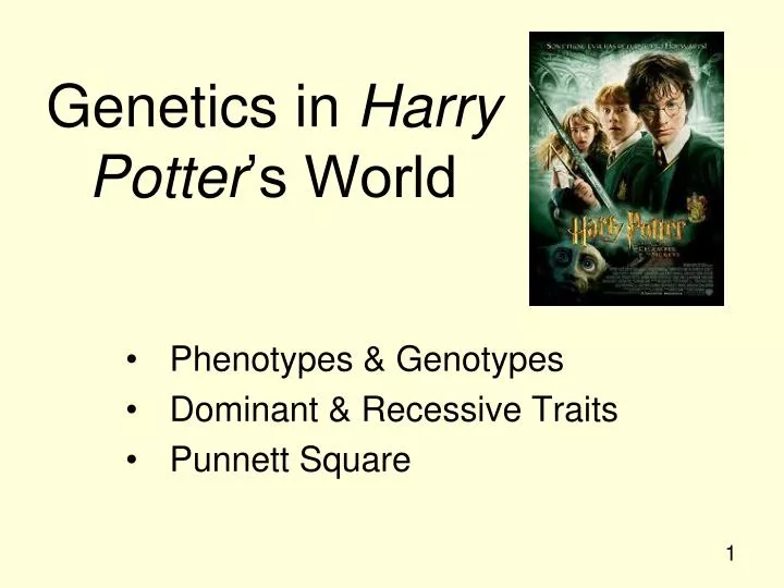 genetics in harry potter s world