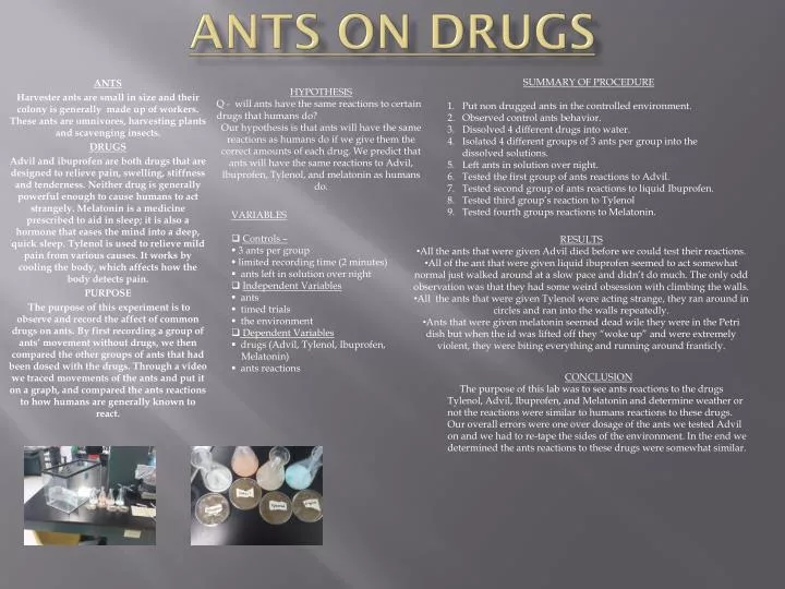 ants on drugs