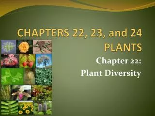 CHAPTERS 22, 23, and 24 PLANTS