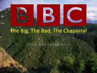 The Big, The Bad, The Chaparral