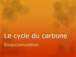 le cycle du carbone