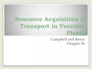 Resource Acquisition &amp; Transport in Vascular Plants