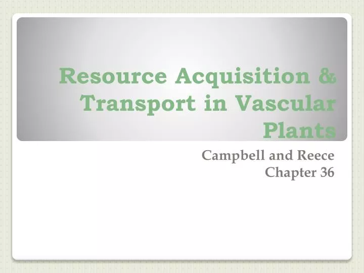 resource acquisition transport in vascular plants