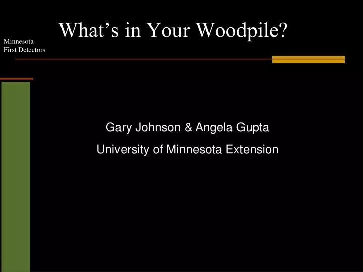 what s in your woodpile