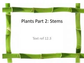 Plants Part 2: Stems