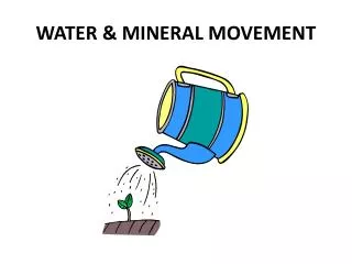 WATER &amp; MINERAL MOVEMENT