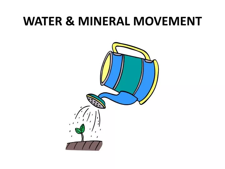 water mineral movement