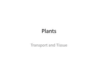 Plants