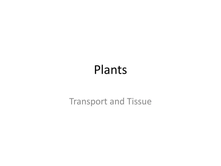 plants