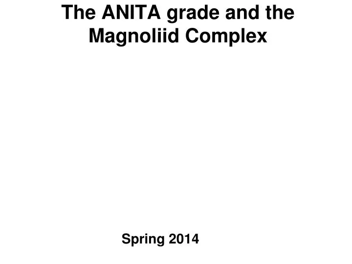 the anita grade and the magnoliid complex