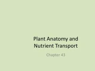 Plant Anatomy and Nutrient Transport
