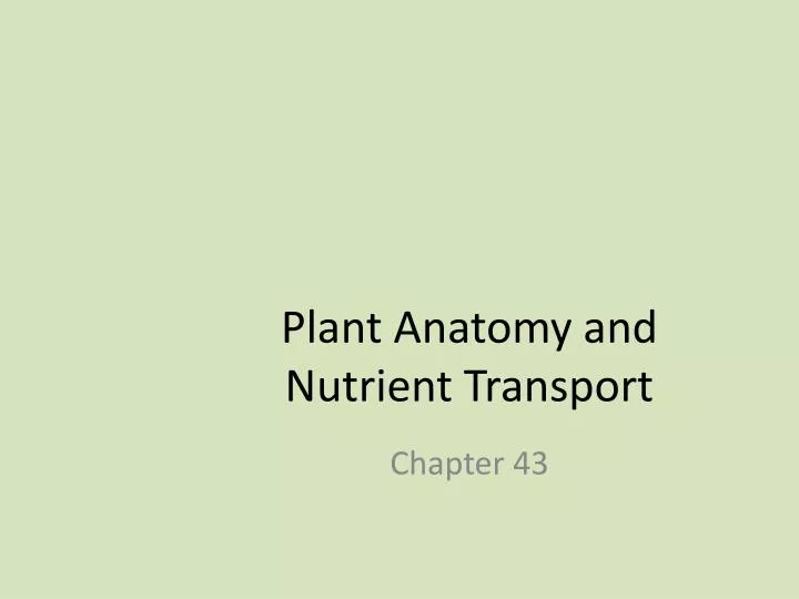 plant anatomy and nutrient transport