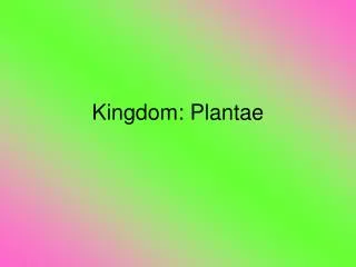 Kingdom: Plantae