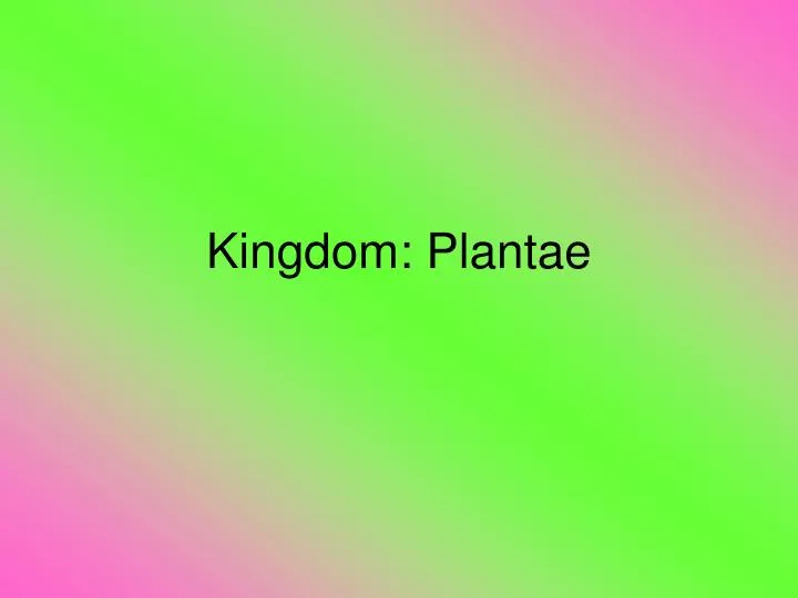 kingdom plantae