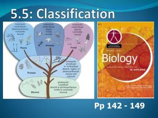 5.5: Classification