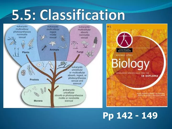 5 5 classification