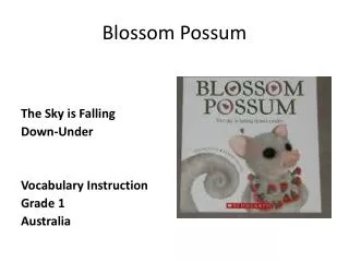 Blossom Possum