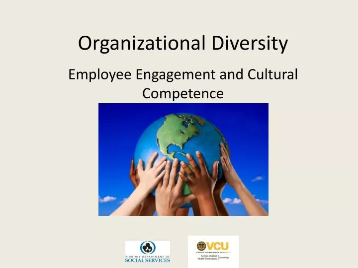 organizational diversity
