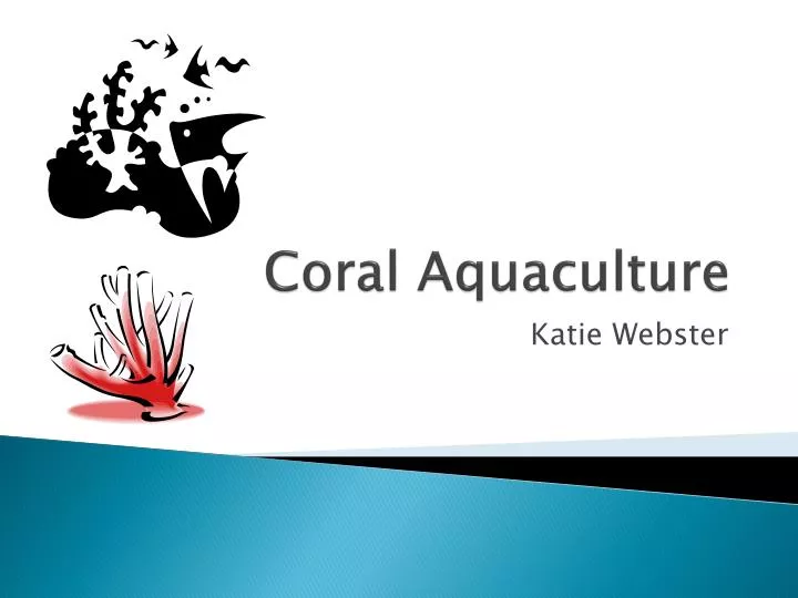 coral aquaculture