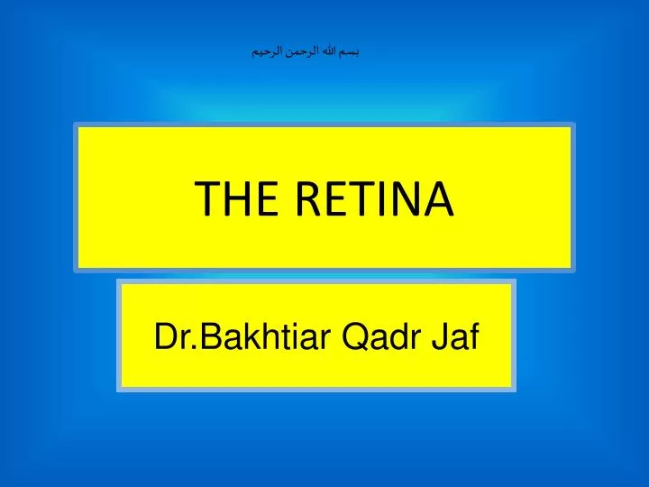 the retina