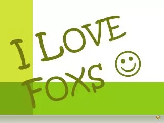 I Love Foxs ?