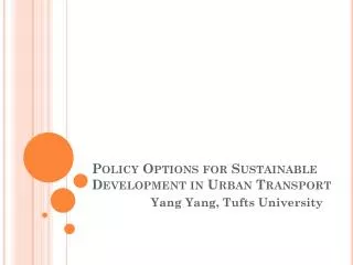Policy Options for Sustainable Development in Urban Transport