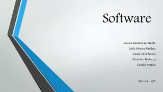 s oftware