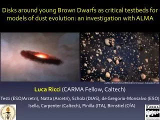 Disks around y oung Brown Dwarfs as critical testbeds for