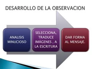 PPT - LA OBSERVACION PowerPoint Presentation, Free Download - ID:5407273