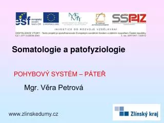pohybov syst m p te