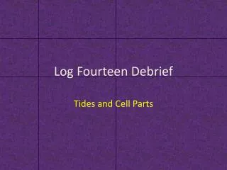 log fourteen debrief