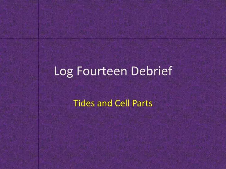 log fourteen debrief