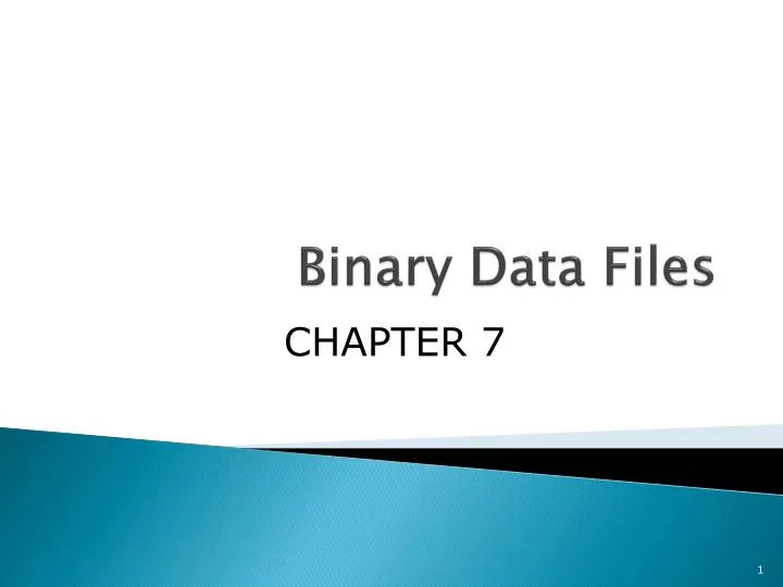 binary data files