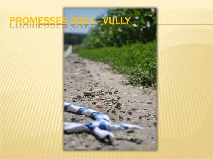 promesses 2011 vully