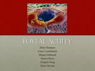 Foveal Acuity