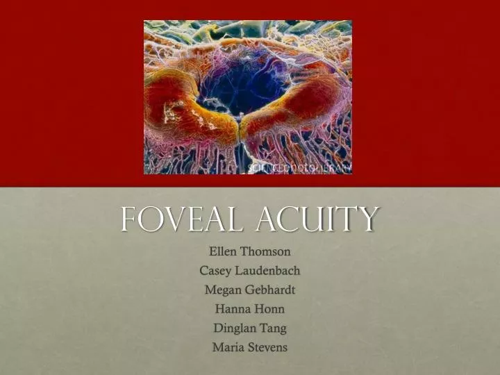 foveal acuity